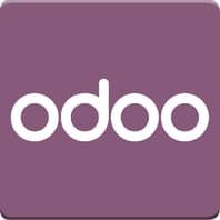 Odoo ERP Specialists