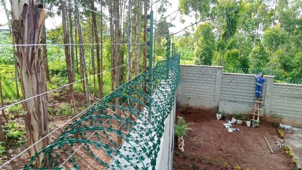 whatsapp image 2025 10 09 at 10.43.08 am