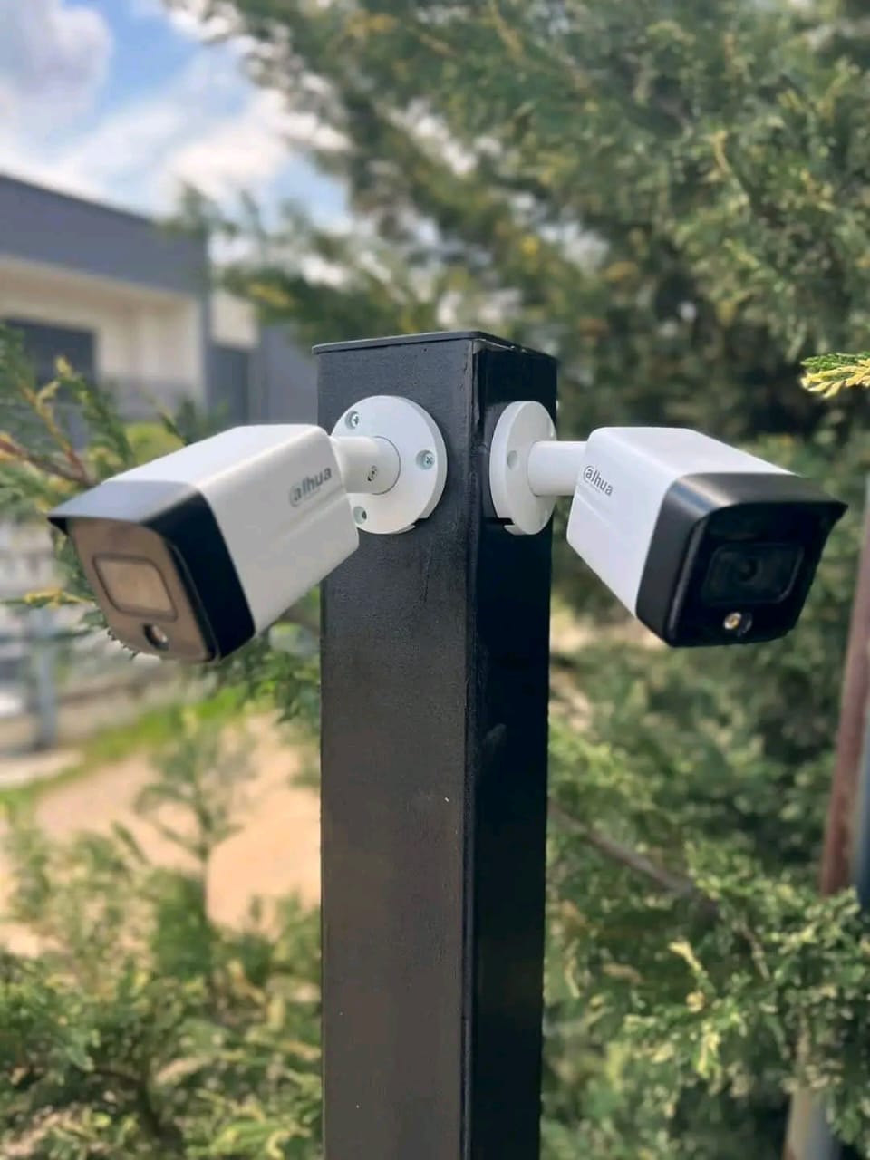 whatsapp image 2025 10 09 at 7.20.06 pm